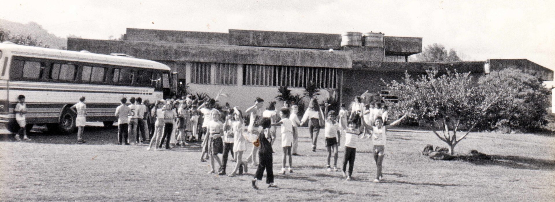 1966